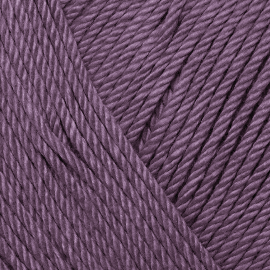 CEDAR