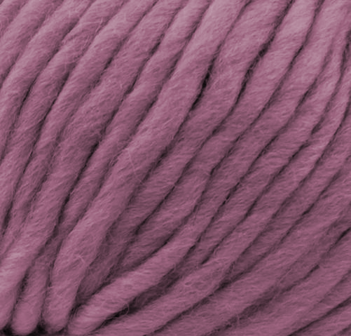 124_rose