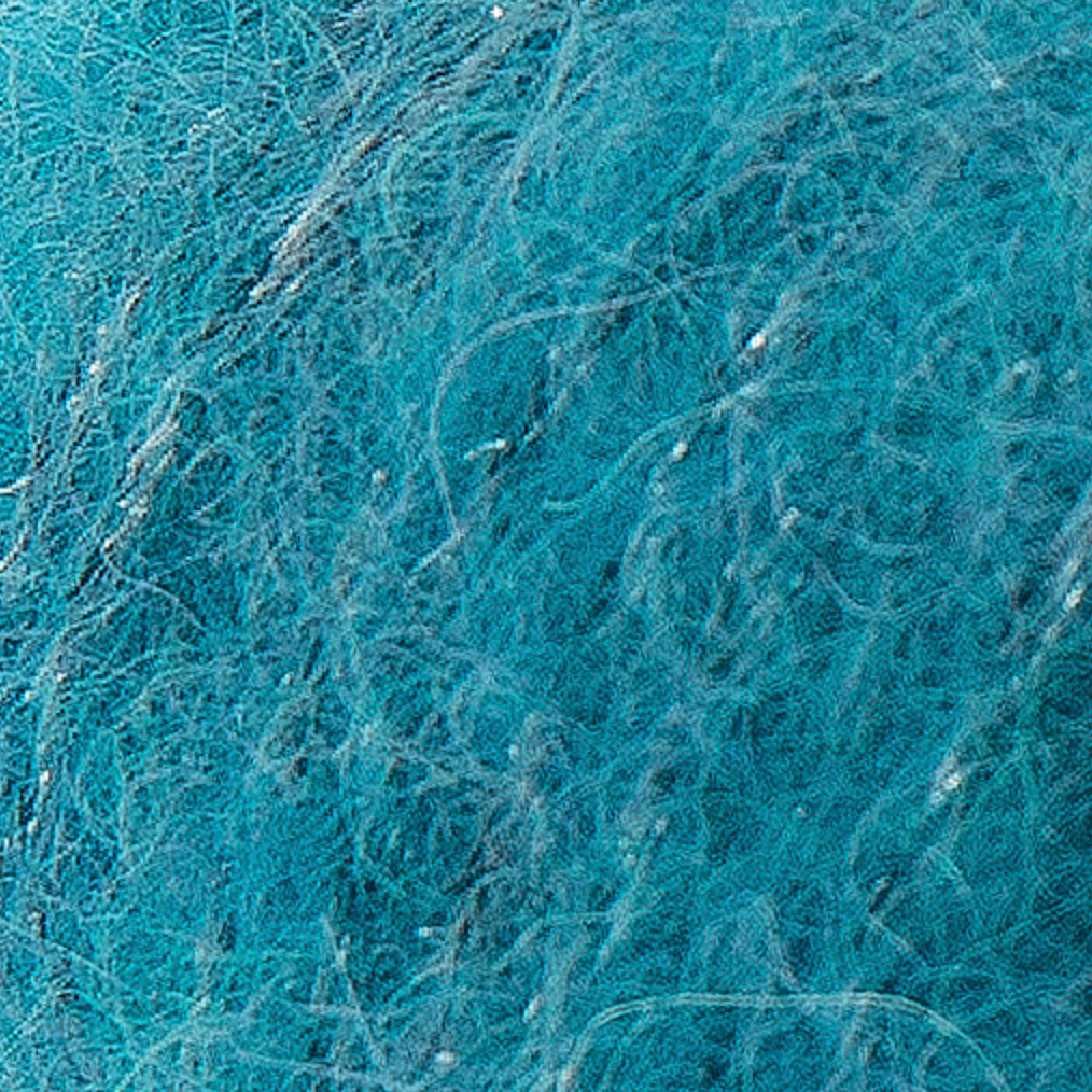 alpaca silver turqoise