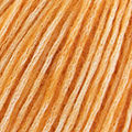 COTTON MERINO