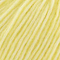 COTTON MERINO